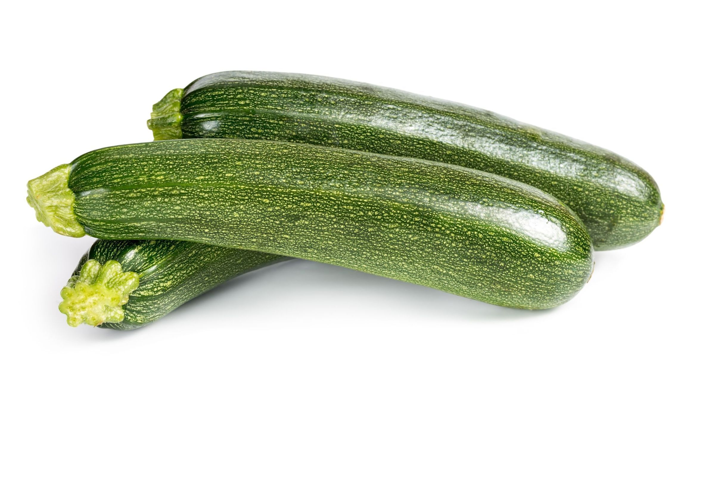 zucchini courgette